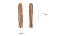 1 Pair Glam Shiny Tassel Inlay Alloy Rhinestones Drop Earrings main image 2