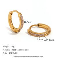 1 Pair Simple Style Round Solid Color Plating Inlay Stainless Steel Zircon 18k Gold Plated Hoop Earrings sku image 11
