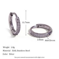 1 Pair Simple Style Round Solid Color Plating Inlay Stainless Steel Zircon 18k Gold Plated Hoop Earrings sku image 10