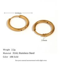 1 Pair Simple Style Round Solid Color Plating Inlay Stainless Steel Zircon 18k Gold Plated Hoop Earrings sku image 7