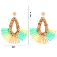 1 Pair Bohemian Sector Water Droplets Hollow Out Raffia Drop Earrings main image 5