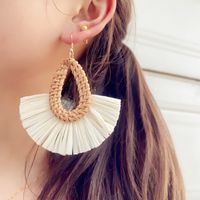 1 Pair Bohemian Sector Water Droplets Hollow Out Raffia Drop Earrings main image 2