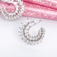 1 Pair Simple Style Leaf Inlay Copper Zircon Ear Studs main image 2