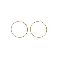 1 Pair Exaggerated Simple Style Round Plating Alloy Earrings main image 2