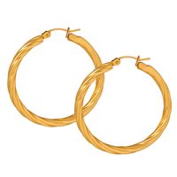 1 Pair Exaggerated Simple Style Twist Plating Titanium Steel 18k Gold Plated Earrings main image 7