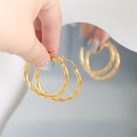1 Pair Exaggerated Simple Style Twist Plating Titanium Steel 18k Gold Plated Earrings main image 4