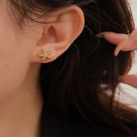 1 Pair Casual Hawaiian Tropical Starfish Inlay Titanium Steel Zircon Gold Plated Ear Studs main image 1