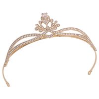 Princesa Nupcial Corona Aleación Embutido Diamantes De Imitación Circón Corona main image 3