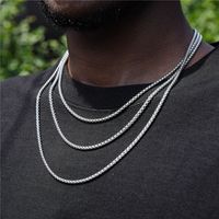 Vêtement De Rue Couleur Unie Acier Inoxydable Placage Hommes Collier sku image 1