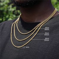 Vêtement De Rue Couleur Unie Acier Inoxydable Placage Hommes Collier sku image 4