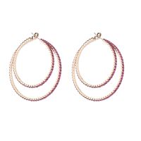 1 Pair Elegant Cute Simple Style Round Inlay Rhinestone Rhinestones Hoop Earrings main image 2