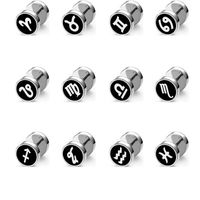 1 Piece Hip-Hop Constellation Plating 304 Stainless Steel Ear Studs main image 8