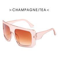 Simple Style Solid Color Ac Square Full Frame Women's Sunglasses sku image 9
