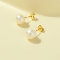 1 Pair Basic Simple Style Round Plating Freshwater Pearl Copper 18k Gold Plated Ear Studs main image 3