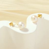 1 Pair Basic Simple Style Round Plating Freshwater Pearl Copper 18k Gold Plated Ear Studs main image 1