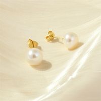 1 Pair Basic Simple Style Round Plating Freshwater Pearl Copper 18k Gold Plated Ear Studs main image 4