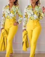 Women's Classic Style Flower Linen Polyester Printing Pants Sets sku image 6
