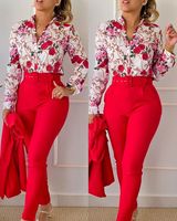 Women's Classic Style Flower Linen Polyester Printing Pants Sets main image 2
