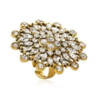 Luxuriös Dame Handgemacht Blume Legierung Eingelegter Edelstein Eingelegte Perlen Diamant Frau Ringe main image 4