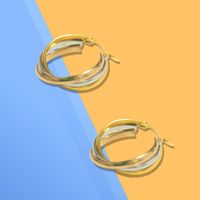 1 Pair Modern Style C Shape Plating Stainless Steel Earrings sku image 8