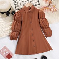 Simple Style Solid Color Pleated Polyester Girls Dresses sku image 3