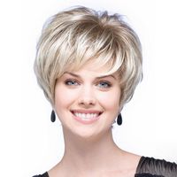 Women's Elegant Simple Style Casual High Temperature Wire Side Fringe Short Straight Hair Wigs sku image 1