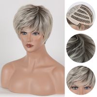 Women's Elegant Simple Style Casual High Temperature Wire Side Fringe Short Straight Hair Wigs main image 2