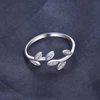 Style Simple Feuille Argent Sterling Incruster Zircon Anneaux main image 1
