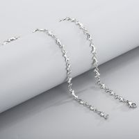 Dolphin Stainless Steel Chain Necklace main image 2