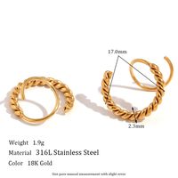 1 Pair Basic Simple Style Classic Style Geometric Plating Stainless Steel 18k Gold Plated Earrings main image 5