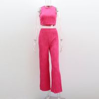 Women's Casual Solid Color Polyester Pants Sets sku image 10