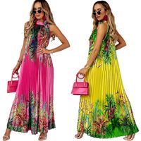 Women's Swing Dress Bohemian Standing Collar Printing Sleeveless Plant Maxi Long Dress Knee-length Holiday Travel main image 1