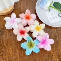 Simple Style Flower Plastic Resin Hair Claws main image 4
