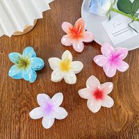 Simple Style Flower Plastic Resin Hair Claws main image 1