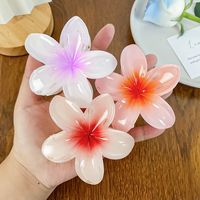 Simple Style Flower Plastic Resin Hair Claws main image 3