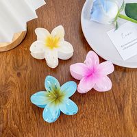 Simple Style Flower Plastic Resin Hair Claws main image 2