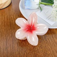 Simple Style Flower Plastic Resin Hair Claws sku image 3