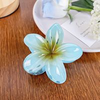 Simple Style Flower Plastic Resin Hair Claws sku image 4