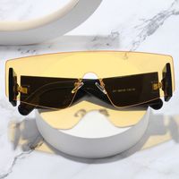 Einfacher Stil Pendeln Farbblock Pc Ovaler Rahmen Rahmenlos Männer Sonnenbrille main image 2