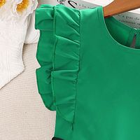 Einfacher Stil Einfarbig Rüschen Baumwollmischung Polyester Mädchen Kleidung Sets main image 5
