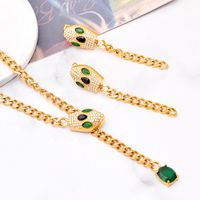 304 Stainless Steel 18K Gold Plated Simple Style Plating Inlay Snake Rhinestones Glass Stone Earrings Necklace main image 1