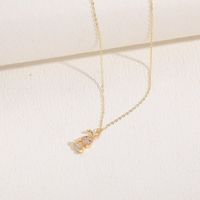 Classic Style Rabbit Copper 14k Gold Plated Zircon Necklace In Bulk main image 7