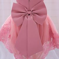 Elegant Princess Formal Flower Bowknot Polyester Girls Dresses main image 4