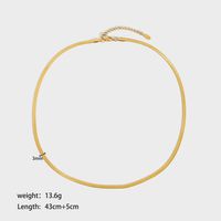304 Stainless Steel Simple Style Streetwear Solid Color Necklace sku image 1
