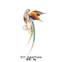 Lindo Pene Pájaro Aleación Embutido Diamantes De Imitación Mujeres Broches sku image 9