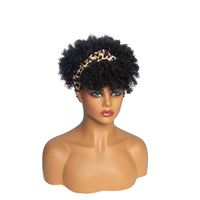 Women's Simple Style Party Stage Street High Temperature Wire Long Bangs Short Curly Hair Wig Net sku image 10