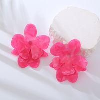 1 Pair Casual Flower Arylic Drop Earrings main image 1