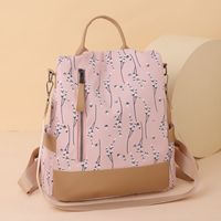 Anti-theft Color Block Daily Women's Backpack main image 6