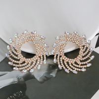 1 Pair Lady The Answer Inlay Alloy Rhinestones Earrings main image 10