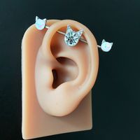 1 Piece Elegant Cat Plating Inlay Stainless Steel Opal Zircon White Gold Plated Ear Studs main image 1